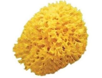 Esponjas OK BABY Naturelle