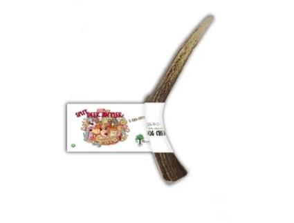 Mordedor para Cães BIMORDISCOS PET PRODUCTS meio chifre de cervo (L)