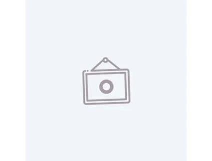 Câmara 12Mp À Prova de Chuva Fullhd Visão Noturna Detecção Movimento