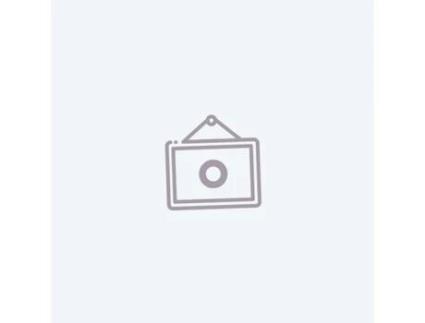 Deflecto Exhibitor Contour A4 Vertical 58440