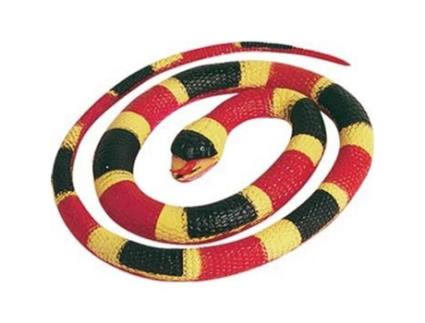Borracha  Serpente Coral