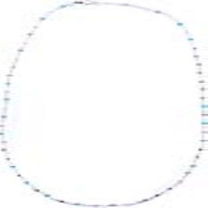 Colar feminino  CL-COLLAR-01 (61 cm)