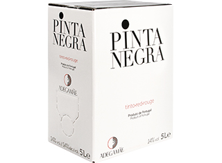 Vinho Tinto Pinta Negra Regional Lisboa 5l