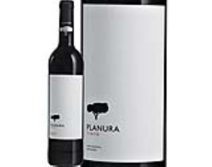 Vinho Tinto Planura Alentejo 0.75l