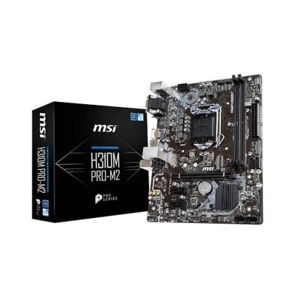 Motherboard  1151-8g H310m Pro-M2