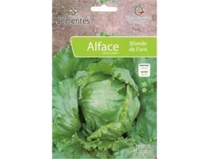 Semente CASA CESAR SANTOS Alface Batavia Blonde Paris