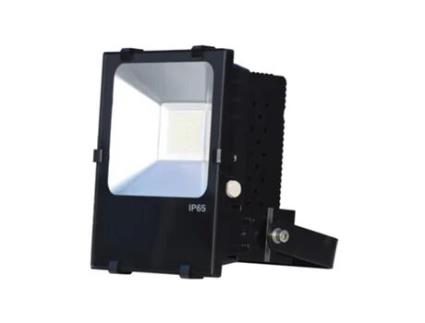 Professional Ip65 Led Projetor Pf> 0,95 70W 100-350V 3500K Driver 110 Meanwell