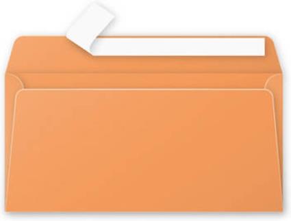 Envelopes  5495C Laranja