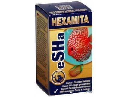 Complemento Alimentar para Peixes  Hexamita