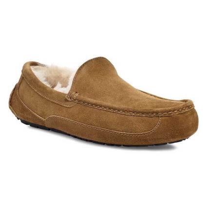 Ugg Ascot Castanho EU 42