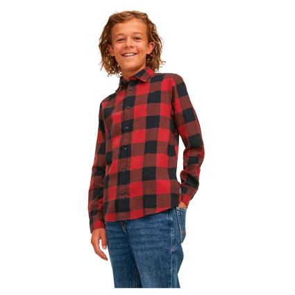 Jack & Jones Gingham Twill Long Sleeve Shirt Vermelho 176