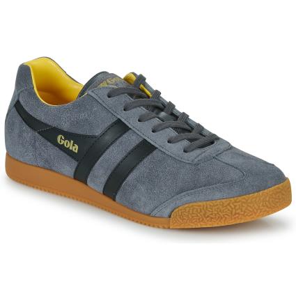Gola  Sapatilhas HARRIER  Cinza Disponível em tamanho para homem. 41,42,43.Homem > Sapatos > Tenis