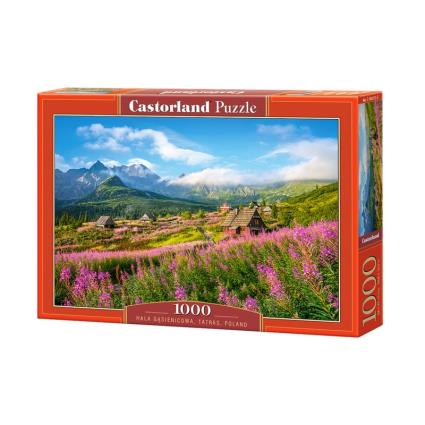LAND HALA GASIENICOWA, TATRAS, POLAND 1000 .