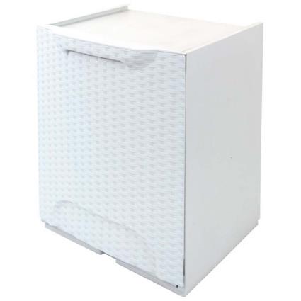 Artplast Rattan 47x34x29 Cm Paper Bin Transparente