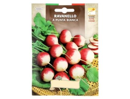 Semillas huerto rabano rojo grande. rabanito punta blanca  (raphanus sativus radiciula)