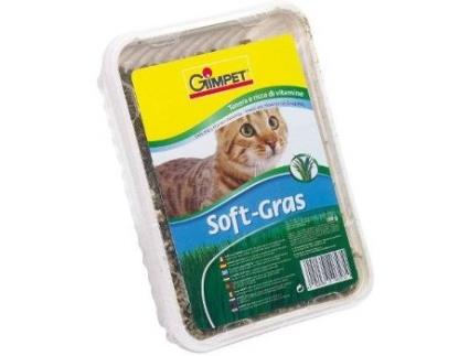 Ervas para Gatos  Gateira (100g)