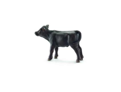Figura  Vitelo Angus