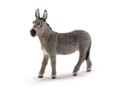 Figura  Burro