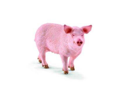 Figura  Porco