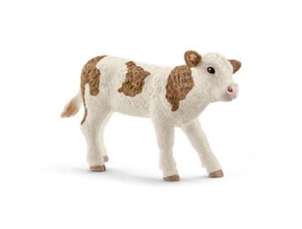 Figura  Vitelo Simmental