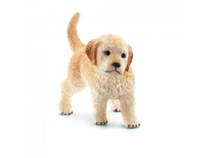 Figura  Cria de Golden Retriever