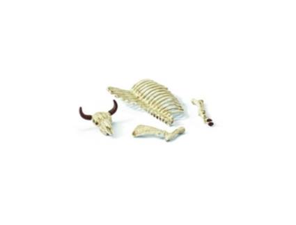 Conjunto de Acessórios  Ossos