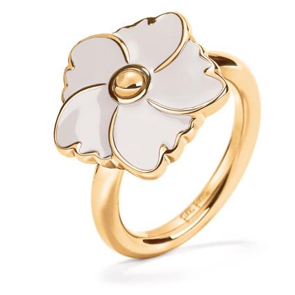 Folli Follie 3r19t009yw-52 Ring  52 Mulher