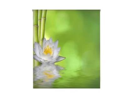 Estore de Rolo HAPPYSTOR Impressão Digital Zen HSCZ6040 200x250 cm