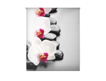 Estore de Rolo HAPPYSTOR Impressão Digital Zen HSCZ1465 80x180 cm