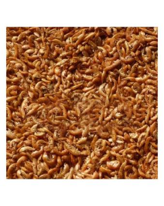 Grammarus Limpo e Calibrado 1 Kg