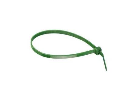 Brida nylon verde index bolsa 100unds med.brida 4.8-290mm (caja 100)