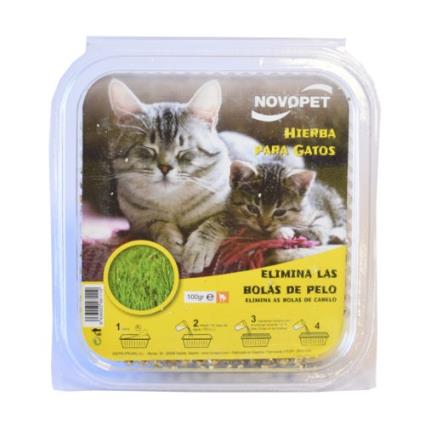Novopet Catnip
