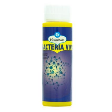 Vivanimals Bactérias para aquários