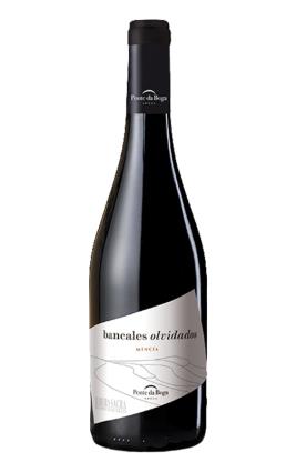 Bancales Olvidados 2019