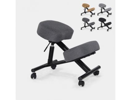 Cadeira ortopédica tecido ergonômico sueco e banqueta metálica Balancesteel lux