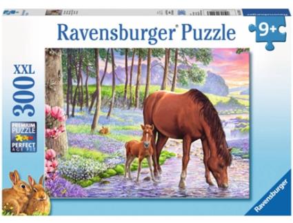 Puzzle  00.013.242 (300 Peças)