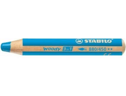 Lápis de Carvão  woody 3 in 1