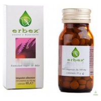 Alcachofra 100 cápsulas de 380mg - Erbex