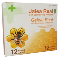 Geleia Real com Equinácea e Própolis 12 frascos - Edda Pharma