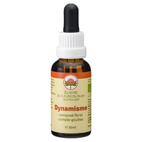 Composto Floral Dinamismo 30 ml de elixir floral - Love System Bush