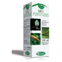 Birch Linfa MG 100 ml - Sangalli