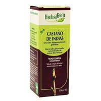 Castanha de cavalo macerada glicerinada 50 ml - Herbalgem