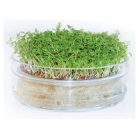 Prato de Germinação Bardo'germ 1 unidade - De Bardo