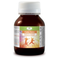 Camu Camu 90 comprimidos de 430mg - Renaco