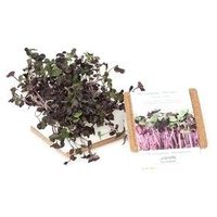 Radis-Grow Box Uno 350 g - Life in a bag