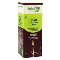 Pinho Macerado Glicerinado 50 ml - Herbalgem