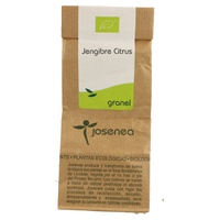 Gengibre Citrus 50 g - Josenea