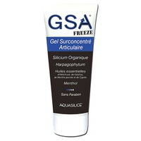 GSA Frio: Gel Articulações Super Concentrado 200 ml de gel - Aquasilice