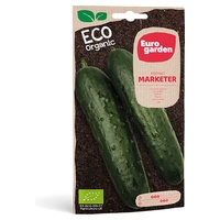 Pepino Marketer Eco 2 g - Euro Garden