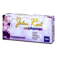 Geleia Real Top Energy 20 frascos - GSN